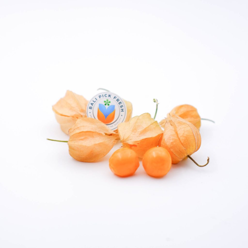 Physalis